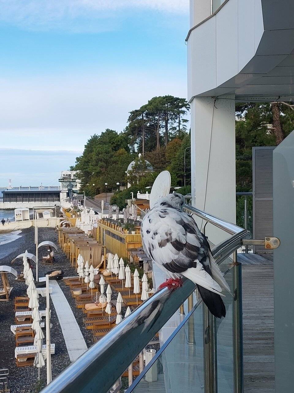 Фото Гостиницы Санремо Сочи 244