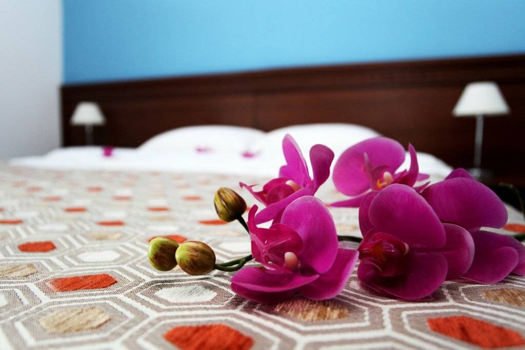 Фото Гостиницы Санремо Сочи 70