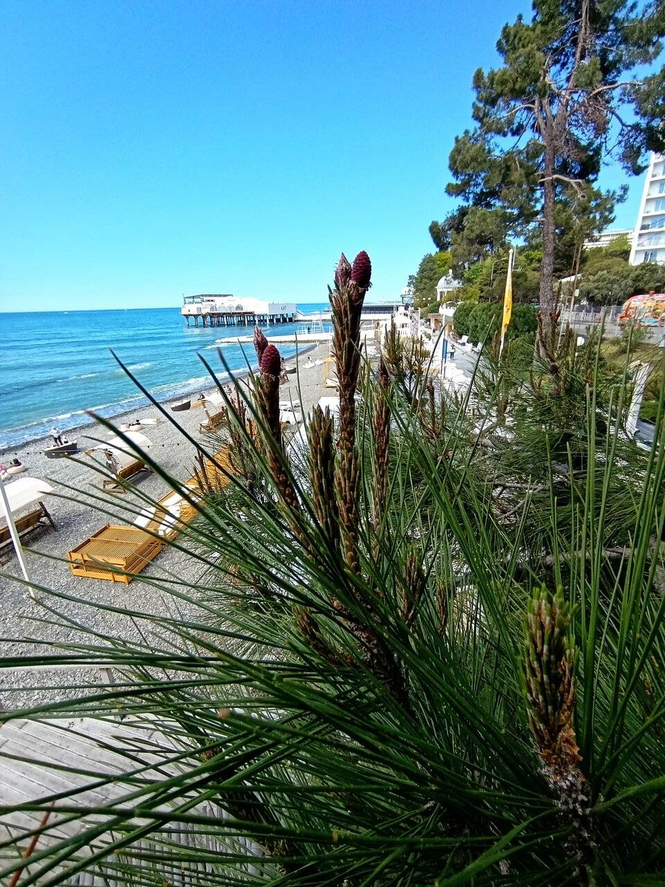 Фото Гостиницы Санремо Сочи 248